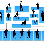 Grafik: Hierarchie in Unternehmen