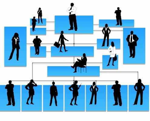 Grafik: Hierarchie in Unternehmen